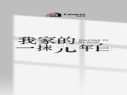 小红书携手卡萨帝:于纯白简约中缔造永恒的极简家居美学